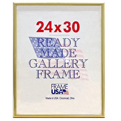 Frame USA 24x30 Deluxe Polystyrene Plastic Poster Frames (Gold), Made in America