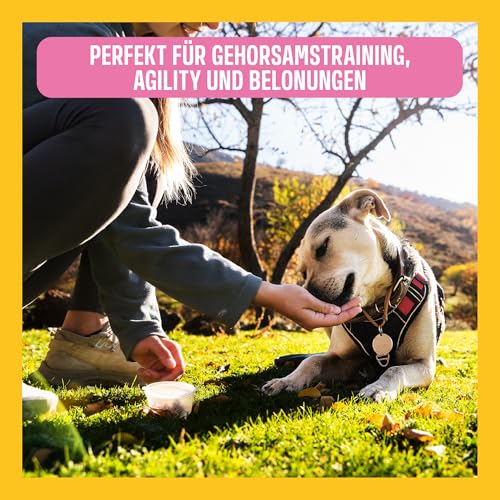 ivvi Trainingssnacks für Hunde – 73% Lachs, Omega-3 & Salbei-Komplex – Unterstützt Gedächtnis & Konzentration – Proteinreich, kalorienarm, ohne künstliche Zusätze