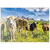 MyPuzzle.com