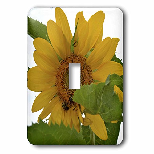 Abeille sur un tournesol plaque décorative 3dRose 2,5 cm - 2