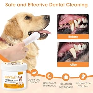 Teeth-Cleaning-Finger-Wipes-Dog-Dental-Wipes-Reduce-Plaque-Tartar-Freshen-Breath-Safe-Natural-Pet-Dental-Wipes-for-Dogs-Teeth-Portable-Dog-Tooth-Wipes-for-Cats50-Ct-Chicken-Scent - Cucciolini Doodles   Teeth-Cleaning-Finger-Wipes-Dog-Dental-Wipes-Reduce-Plaque-Tartar-Freshen-Breath-Safe-Natural-Pet-Dental-Wipes-for-Dogs-Teeth-Portable-Dog-Tooth-Wipes-for-Cats50-Ct-Chicken-Scent