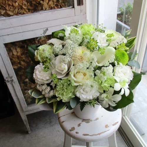 su`sIo y { t[AWg 6,000~ z  ybg݉ ybg       ybg    Mtg   l\  ފ V~ ~  @