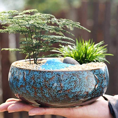 Poton de fleur résistant en céramique pour sauver vos plantes
