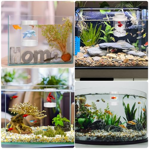 Image of Breeder Box for Fish Tank, Aquarium Breeder Box Plastic Floating Baby Fish Separator for Aquarium Transparent Hatchery Isolation Incubator for Shrimp Betta Clownfish Guppy