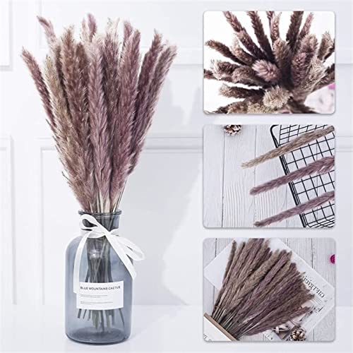 Pampas Grass grande 30 piezas para decoración miniatura 2