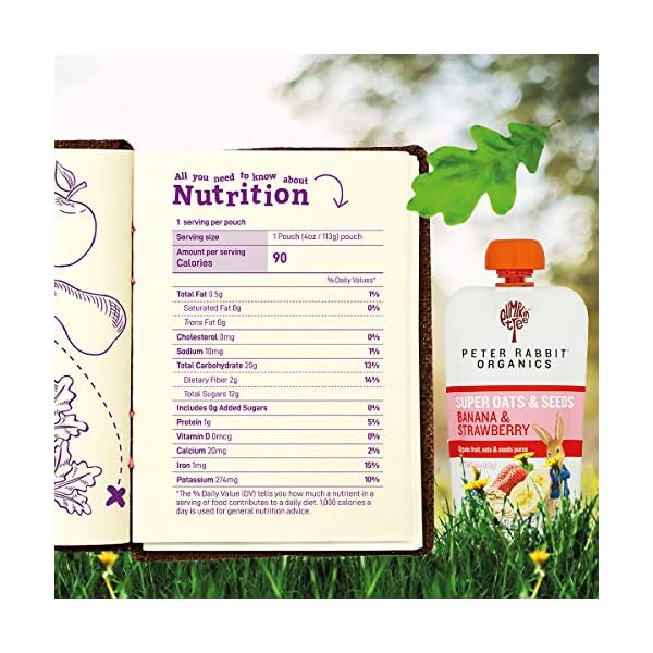 Pumpkin Tree Organics Super Oats & Seeds, Banana & Strawberry Fruit Packet, 4 Ounce (Pack of 10)