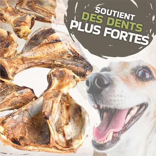 Schweineschulterknochen für Hunde 10 Stück (2,5 kg) | Natürlicher Kauspaß & Nahrungsergänzung | 100% Schwein | ohne Zusatzstoffe