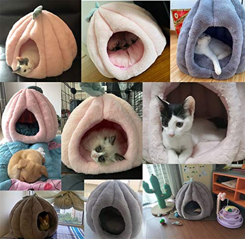 DHGTEP Winter Fluffy Cotton Beheizte Haustier Katze Hundehaus Bett, Weiche Katze Höhle Iglu Mit Abnehmbaren Waschbaren Gemütlichen Matte Für Kleine Mittlere Katzen Hunde Bett