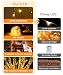 LED Lichterkette Außen 20M 200LED Warmweiß, Strombetrieben mit Stecker, 8 Modi & Timer mit Fernbedienung und Speicherfunktion, IP44 Wasserdicht für Innen Außen Garten Balkon Hochzeit Weihnachten Party