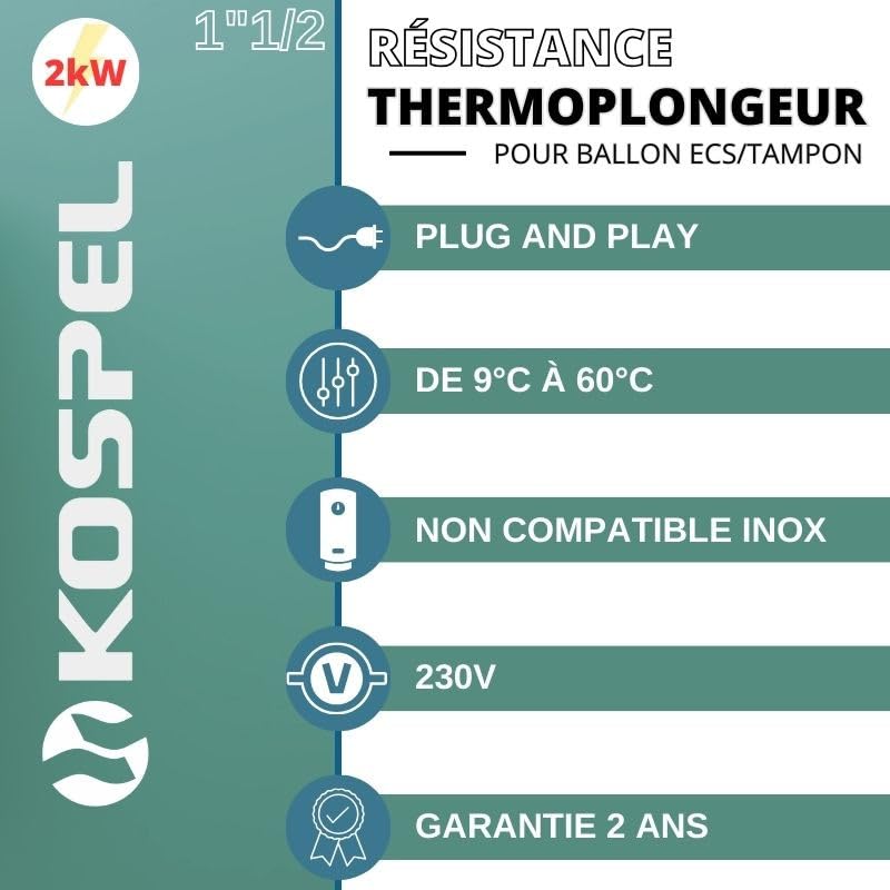 Opór elektryczny z termostatem 2 kW - 230V