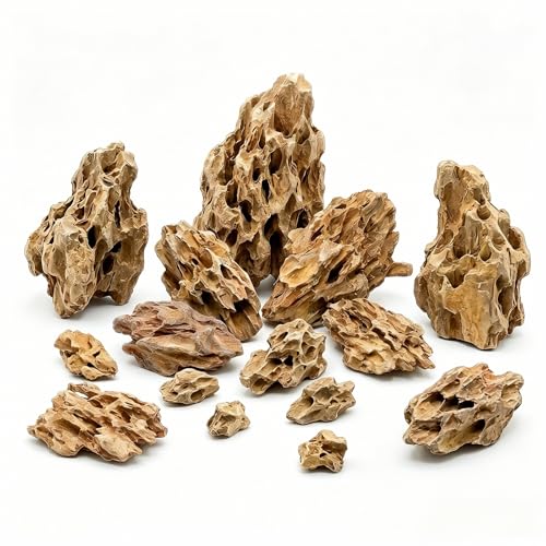 HAELFMRI 11 Lbs Natural Dragon Stone for Aquarium - Ohko Stone with Porous Texture, Professional...