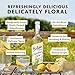 BELVOIR FRUIT FARMS Elderflower Syrup Mixer, 500ml (Pack of 1) | Refreshing Botanical Drink Mix | Perfect for Cocktails | Natural Flavor| No Preservatives| Made with Fresh Elderflowers.