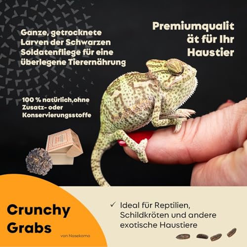 Getrocknete Schwarze Soldatenfliegenlarven 1 kg | Proteinreiches Naturfutter für Hühner, Vögel, Reptilien, Igel & Fische | Ergänzungsfutter für Hunde & Katzen | EU | Ohne Zusatzstoffe