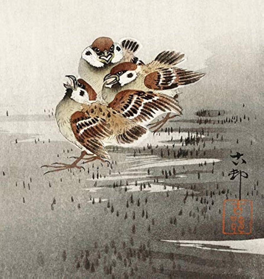 Amazon.co.jp: 小原古邨 桜吹雪に雀の親子 版画 原寸サイズ 46×25.5 Amazon.co.jp: 小原古邨 桜吹雪に雀の親子 版画 原寸サイズ 46×25.5