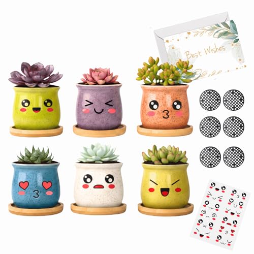 Thorkok 3 Inch Small Succulent Pots 6-Pack Cute Mini Ceramic Pots with Bamboo Tray Cactus Planters for Home and Office Decor Gift for Women, Mom, Plant Lover (Plants Not Included)