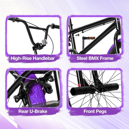 StarterRide 20 Inch BMX Bike