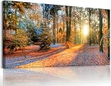 Bamdeya Living Room Wall Art Decor Forest Canvas Print Autumn Poster Sunset Tree Picture Modern Panel Natural Landscape Painting Fall Scenery Artwork for Bedroom Kitchen Office Home Wall Decor