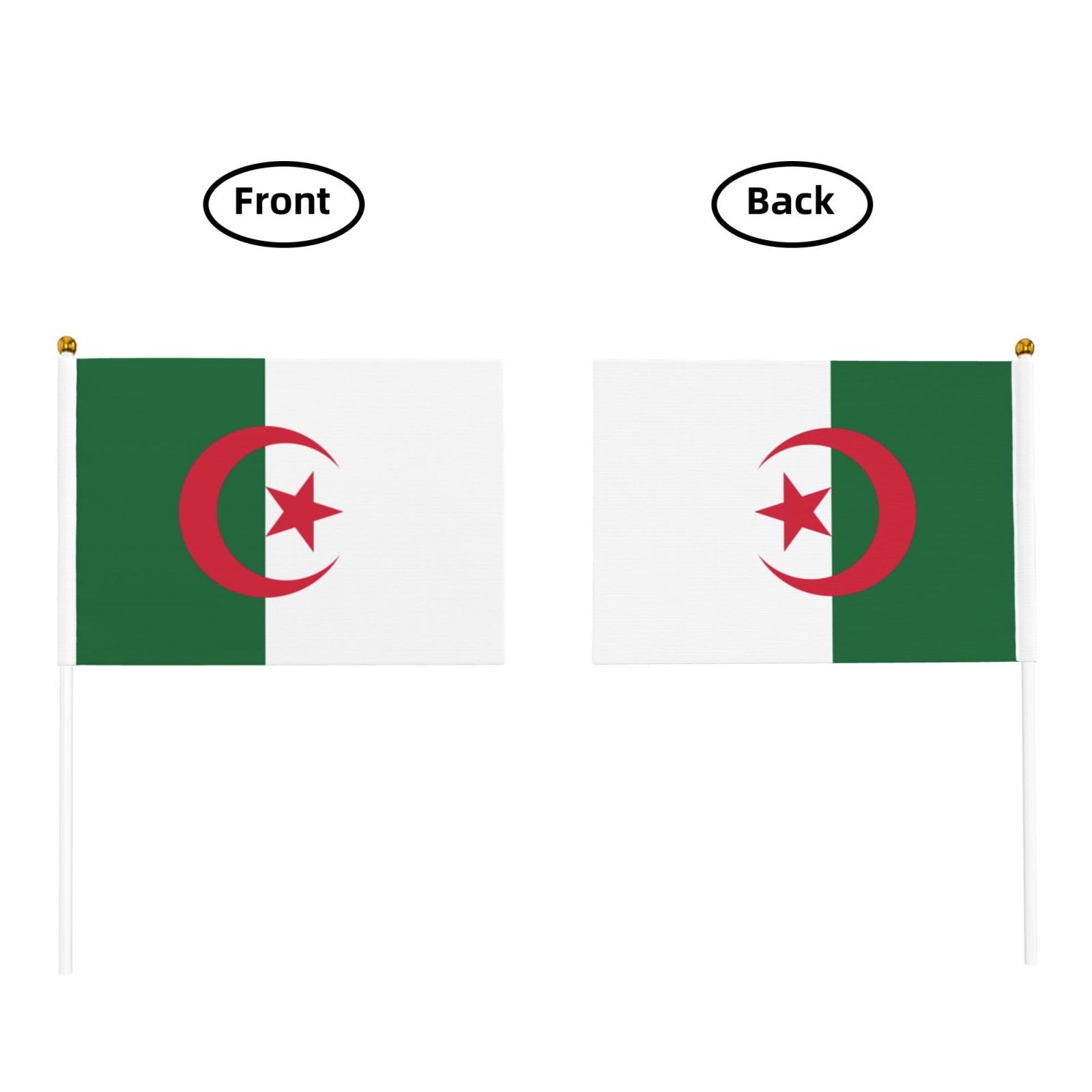 Lot de 10 petits drapeaux de l'Algérie à main, mini drapeaux sur bâton pour fête, activités d'équipe, défilés, décoration de vacances