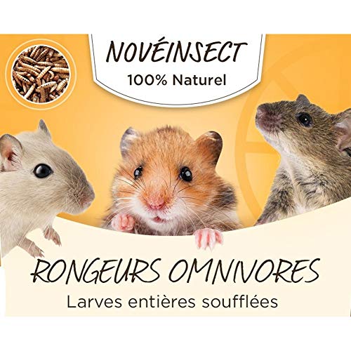 Preisvergleich Produktbild novealand - Larves entières soufflées Pour VOS rongeurs 50 grammes - ENT-50-RO