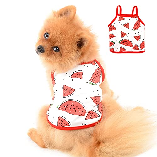 PAIDEFUL Dog Shirt for Small Medium Dogs Girls Puppies Soft Cotton Suspender Pet t Shirts for Cats Apparel Chihuahua Yorkie Clothes Female Tank Tops Breathable Vest Tee Summer Wearing Watermelon XL