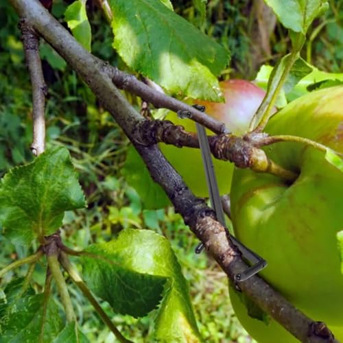 Separadores Ajustables para Ramas de Árbol Frutal, 20 Piezas miniatura 3