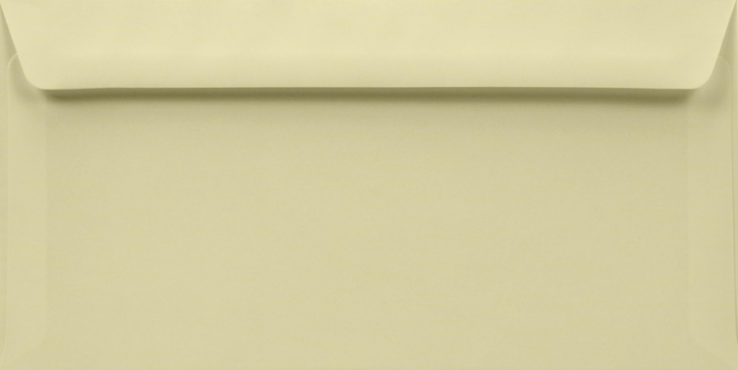 Netuno 500 kopert w kolorze kości słoniowej DL 11 x 22 cm 120 g Arena Ivory długie koperty proste klapa klejone na mokro koperty papierowe wysokiej jakości koperty do zaproszeń firm biznesowych