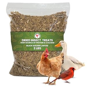 Dried Black Soldier Fly Larvae Chicken Treats for Hens, Duck, Wild Birds, Lizard, Tortoise, Fish – All Natural High Protein Dried Mealworms Alternative – Made in North America