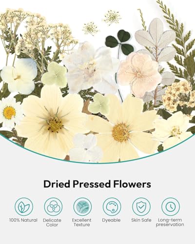 Image of Dried Flowers, Resiners 100Pcs Pressed Flowers for Craft