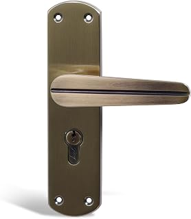 Godrej Mortise Lock I EuroProfile 60mm Cylinder | Double Throw Deadbolt | Common Keys | Reversible Latch | Antique Brass F... Price In India
