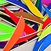ZSHJGJR Archery Arrow Feathers 4Inch 5 Inch Turkey Feathers Fletchings Arrow Feathers Fletches Right Wing for DIY Hunting Arrows 50PCS (4inch, Right Wing, Blue)