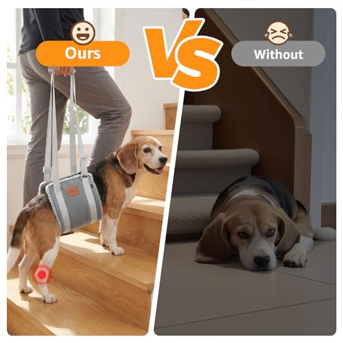 Image of Adjustable Dog Lift Harness Dog Sling for Large Dogs Hind Leg Support Soft Lift Support for Weak Rear Legs, Helps Senior, Injured, Disabled, After ACL Surgery Dogs (Grey&Grey, Medium)