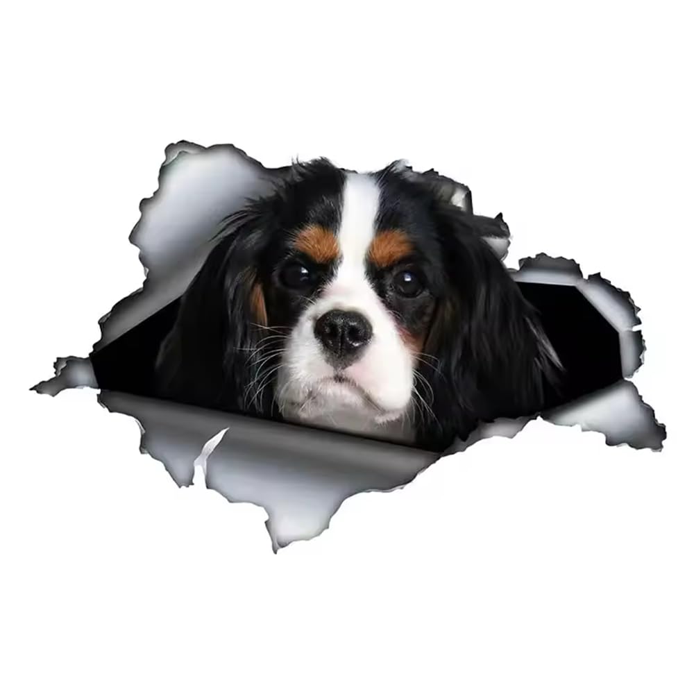 Cavalier King Charles Spaniel Aufkleber, Wasserfest, Reflekt