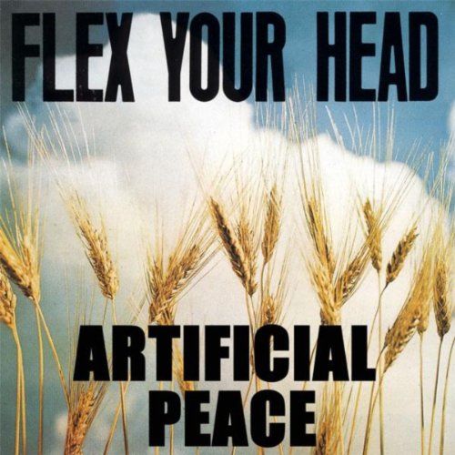 Play Flex Your Head by Artificial Peace on Amazon Music