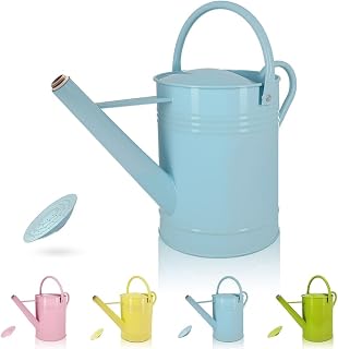LONGRUN Regadera francesa de 6,5 L con aspersor de rosas, hecha de hierro galvanizado, color azul claro