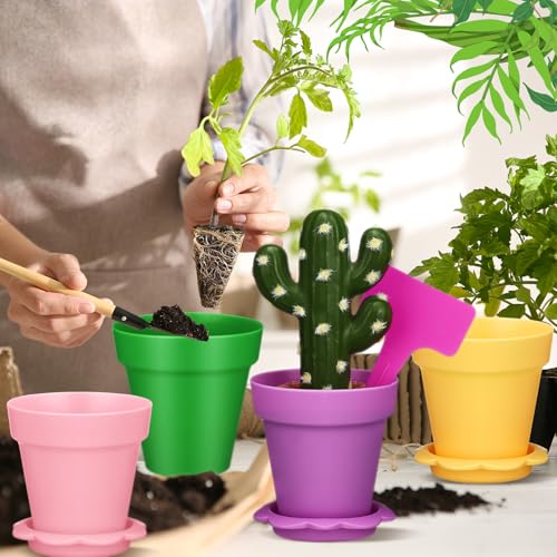 Petits pots de fleurs colorés de balcon : lot de 36 avec coupelles pour intérieur - 6