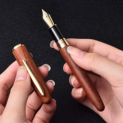 Hongdian - Penna stilografica con pennino extra