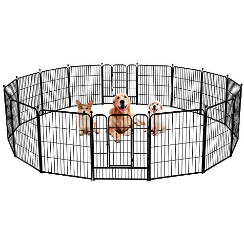 Our Best outdoor dog pens [Top 7 Picks] Maine Innkeepers Association