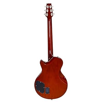 Landscape ランドスケープ SE-01/N エレアコ エレガット 楽天市場】LANDSCAPE SE-01/N NAT ナイロン弦 エレアコ