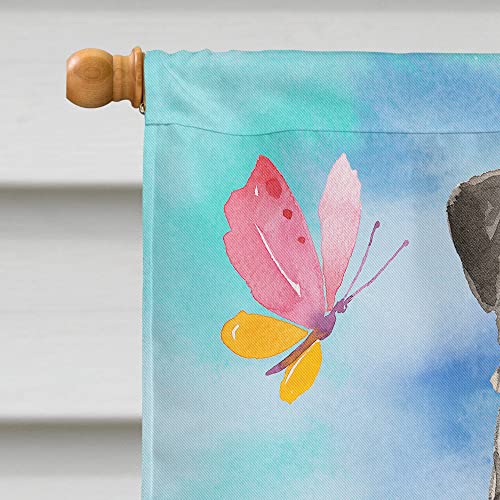 Drapeau Irish Wolfhound Caroline's Treasures pavillon grand format multicolore pour maison