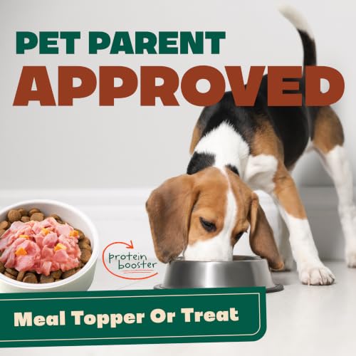 Image of NATOO Dog Food Topper, Salmon with Pumpkin, Case of 20, 3 oz Each | For Picky Eaters, Wet Meal Topper for Dry Food, For Dogs & Puppies, Limited Ingredient, Dog Treat