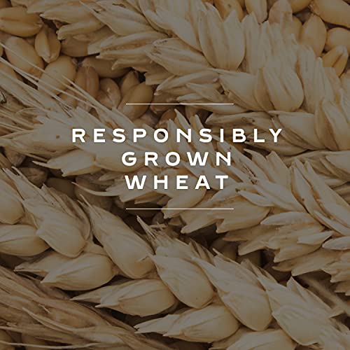 Bahlsen Delice, Deloba, And Butter Leaves Sampler (3 Pack) | 3 Classic Butter Biscuit Flavors | Indulgent Varieties Of European Flaky, Buttery Goodness (3.5 And 4.4 Ounce Boxes) #TOP5