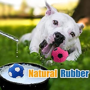 Soft Squeaky Dog Ball 2.56”, Latex Squeaky Dog Toys for Medium Dogs and Small Dogs to Fetch, Chase 3pcs (2.56inch, for Medium Breeds)