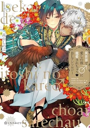 異世界でおまけの兄さん自立を目指す (1) (&arche COMICS) | 花乃崎ぽ