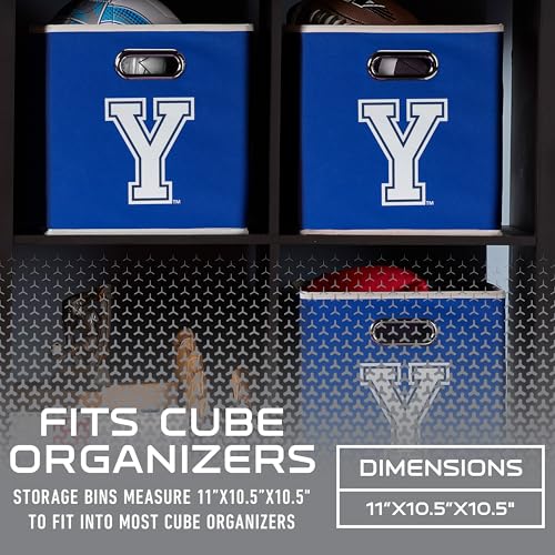 Image of Franklin Sports NCAA Storage Bin