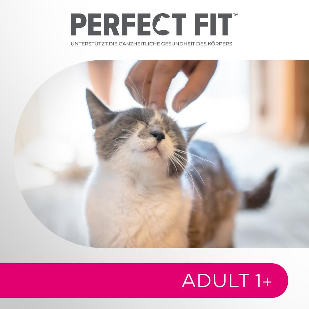 PERFECT FIT Adult Trockenfutter für erwachsene, aktive Katzen ab 1 Jahr - Rind, 7 kg (1 Beutel)
