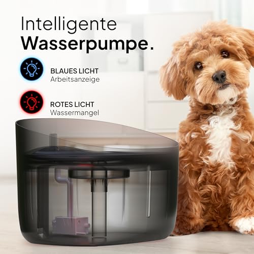 Pretty Paw Trinkbrunnen für Hunde mit 7L Wassertank - Super leiser Hunde Trinkbrunnen - BPA-freier Hundebrunnen mit Filter & LED - Leicht zu reinigender Dog Wasserspender