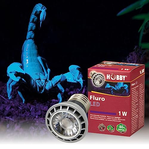 Hobby Terraristik Fluro LED 1 W I Lässt etliche Skorpione sowie einige Insekten, Spinnen und Chamäleons aufleuchten I Standard E27 Fassung I Kein Vorschaltgerät erforderlich