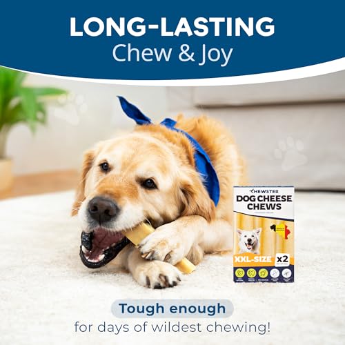 Chewster Käsestangen für Hunde - Kaukäse Hundeknochen - Langer Kauspaß aus natürlicher Milch - Käse-Kauknochen (410 g, XXL, 2er Pack)