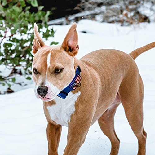 Image of Martingale Dog Collar Reflective NO Pull with USA Flag, M,Blue | Escape Proof without choking,Adjustable Limited Slip Collar with Quick Release Buckle, Nylon Walking Collar for S M L Dogs