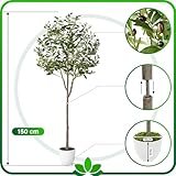 PASCH® Künstlicher Olivenbaum (150cm) - Stilvoll & Naturgetreu | Künstliche Pflanzen groß | Kunstpflanzen groß: Olive Tree | Olivenbaum künstlich groß für EIN mediterranes Ambiente
